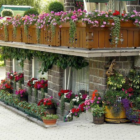 Albergo Trentino Moena Exteriör bild