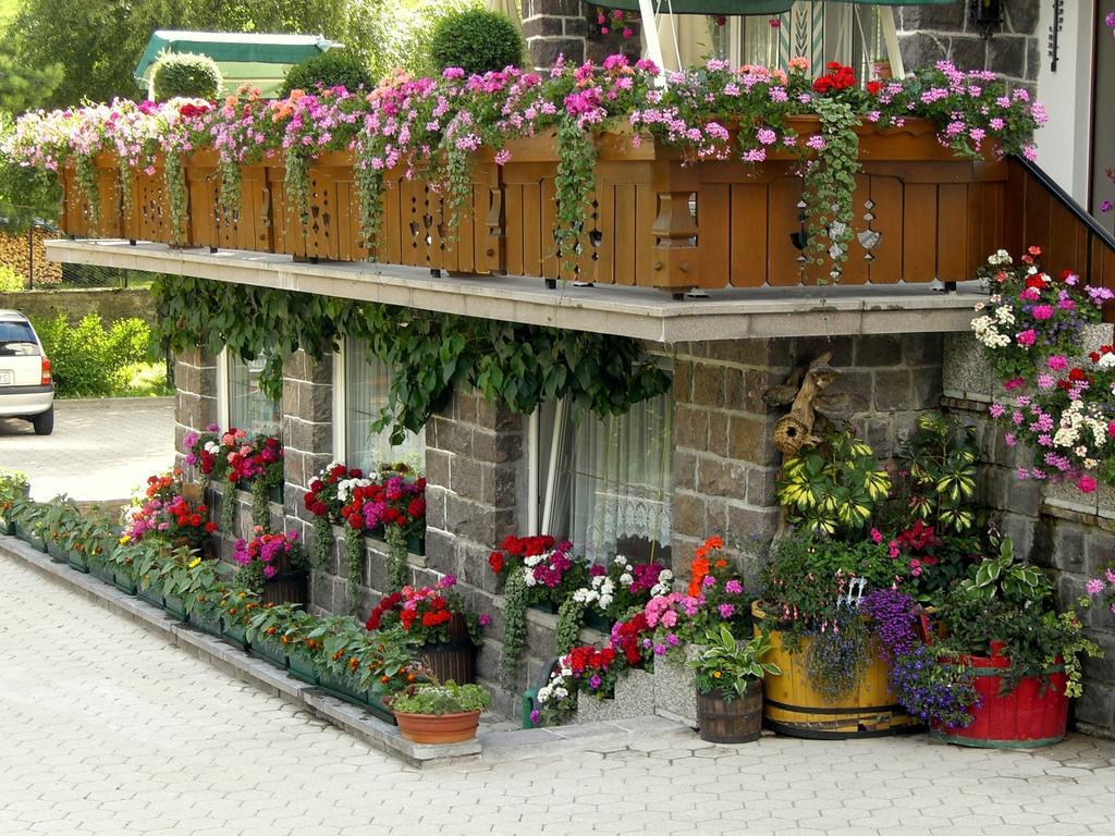Albergo Trentino Moena Exteriör bild